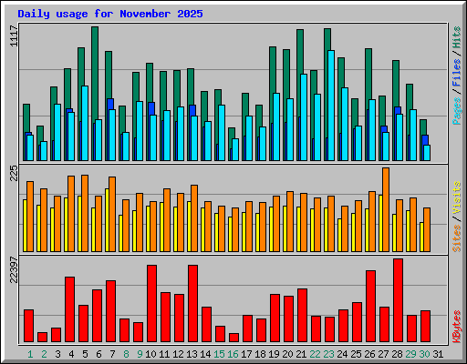 Daily usage for November 2025