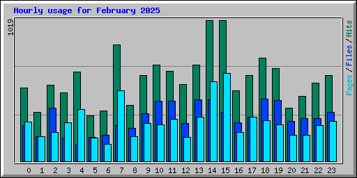Hourly usage for February 2025