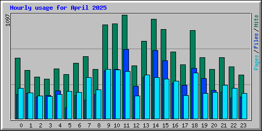Hourly usage for April 2025