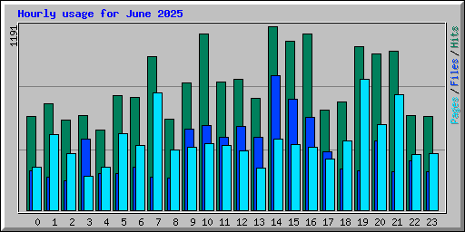 Hourly usage for June 2025