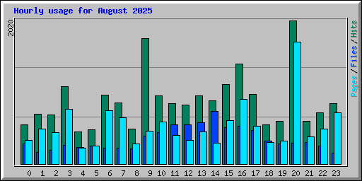 Hourly usage for August 2025