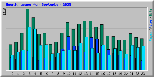 Hourly usage for September 2025