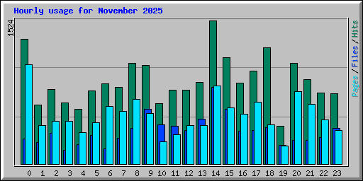 Hourly usage for November 2025