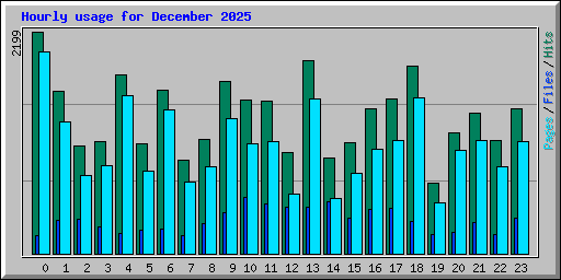 Hourly usage for December 2025