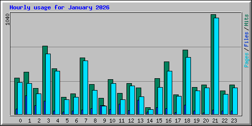 Hourly usage for January 2026